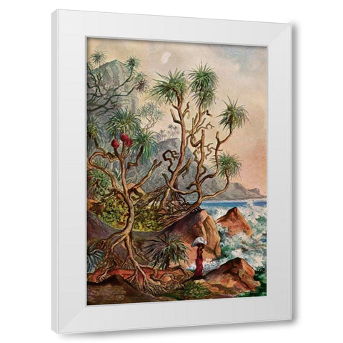 Pandanus bei Matura Schraubenpalmen an der Sudkuste von Ceylon White Modern Wood Framed Art Print by Haeckel, Ernst