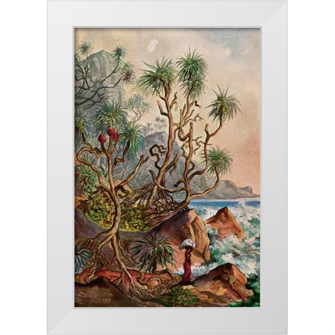 Pandanus bei Matura Schraubenpalmen an der Sudkuste von Ceylon White Modern Wood Framed Art Print by Haeckel, Ernst