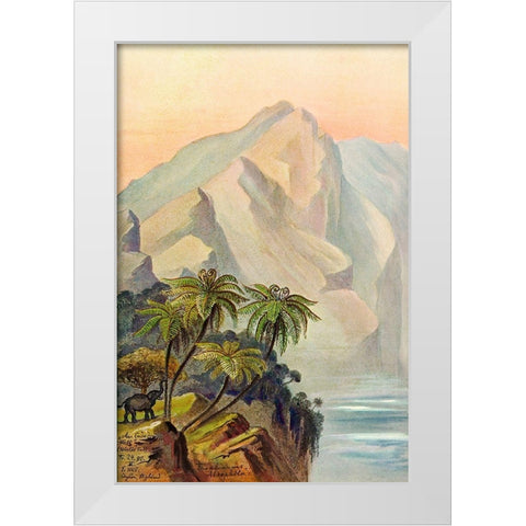 Am Ende der Welt Worlds End. Ceylon White Modern Wood Framed Art Print by Haeckel, Ernst