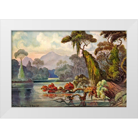 Urwald am Blauen FluÃŸ Kelany-Ganga, Ceylon White Modern Wood Framed Art Print by Haeckel, Ernst