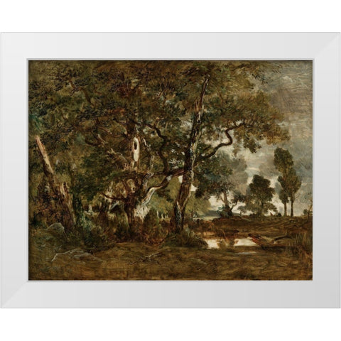 Forest of Fontainebleau, Cluster of Tall Trees Overlooking the Plain of Clair-Bois at the Edge of Ba White Modern Wood Framed Art Print by Rousseau, Theodore