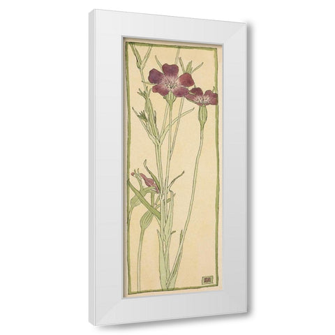 Corn Cockle White Modern Wood Framed Art Print by Overbeck, Hannah Borger