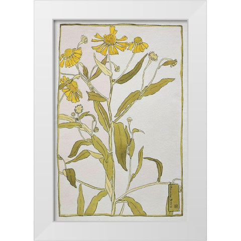 Sneeze Weed White Modern Wood Framed Art Print by Overbeck, Hannah Borger