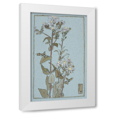 Aster on Green Ground White Modern Wood Framed Art Print by Overbeck, Hannah Borger