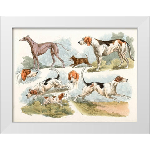 Hunting Dogs, 1817 White Modern Wood Framed Art Print by Alken, Henry Thomas