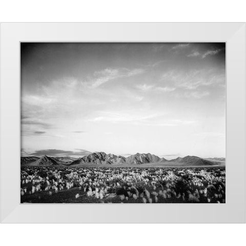 Distant mountains: desert and shrubs in foreground near Death Valley National Monument, California - White Modern Wood Framed Art Print by Adams, Ansel