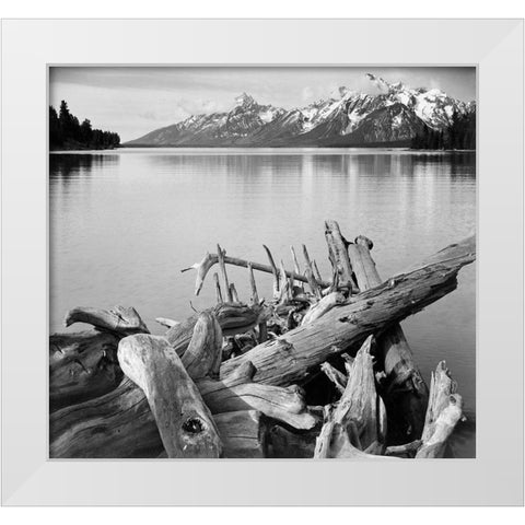 Driftwood on shore of Jackson Lake, with Teton Range in background, Grand Teton National Park, Wyomi White Modern Wood Framed Art Print by Adams, Ansel