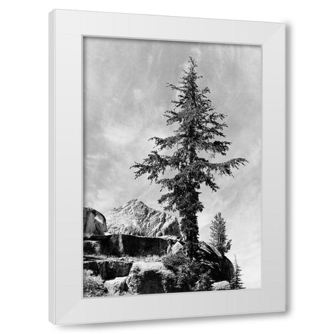 Tree and unnamed peak, Kings River Canyon,  proposed as a national park, California, 1936 White Modern Wood Framed Art Print by Adams, Ansel