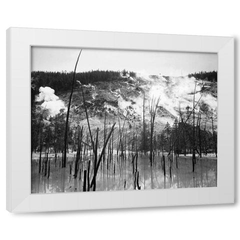 Barren trunks in water near steam rising from mountains, Roaring Mountain, Yellowstone National Park White Modern Wood Framed Art Print by Adams, Ansel