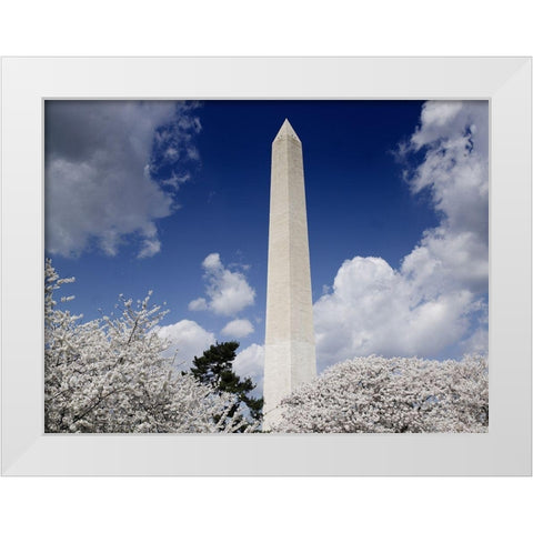 Washington Monument and cherry trees, Washington, D.C. White Modern Wood Framed Art Print by Highmith, Carol