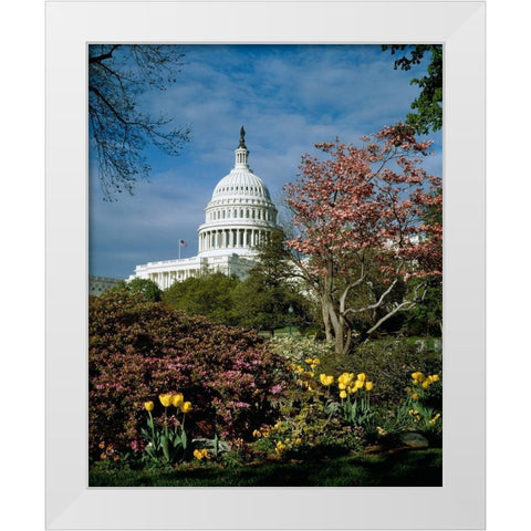 U.S. Capitol, Washington, D.C. Number 3 White Modern Wood Framed Art Print by Highmith, Carol