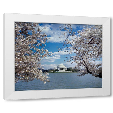 Jefferson Memorial with cherry blossoms, Washington, D.C. White Modern Wood Framed Art Print by Highmith, Carol