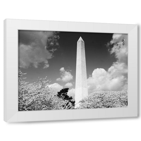 Washington Monument and cherry trees, Washington, D.C. - Black and White Variant White Modern Wood Framed Art Print by Highmith, Carol