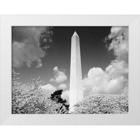 Washington Monument and cherry trees, Washington, D.C. - Black and White Variant White Modern Wood Framed Art Print by Highmith, Carol