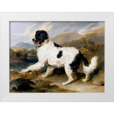 A Newfoundland Dog White Modern Wood Framed Art Print by Landseer, Sir Edwin Henry