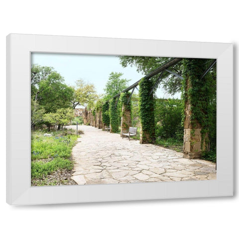 Paved walkway at the Lady Bird Johnson Wildflower Center, near Austin, TX White Modern Wood Framed Art Print by Highmith, Carol