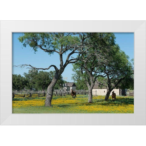Horses gallop toward the camera in a wildflower-rich National Park Service meadow in Johnson City, T White Modern Wood Framed Art Print by Highmith, Carol
