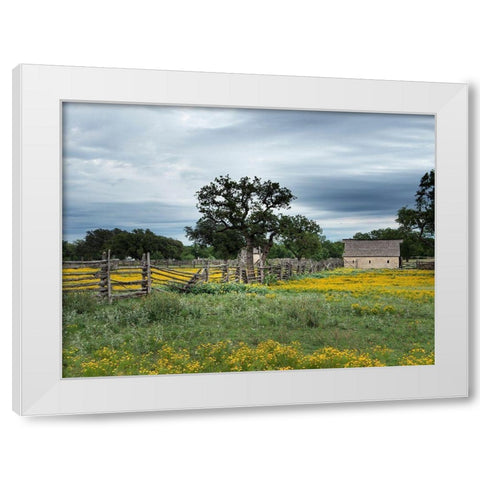 A beautiful wildflower array in a meadow in Johnson City, TX White Modern Wood Framed Art Print by Highmith, Carol