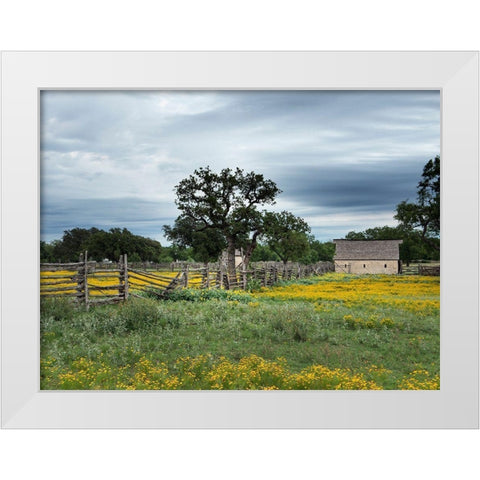 A beautiful wildflower array in a meadow in Johnson City, TX White Modern Wood Framed Art Print by Highmith, Carol