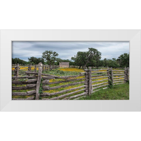 Vivid field of wildflowers in the Lyndon B. Johnson National Historical Park in Johnson City, TX White Modern Wood Framed Art Print by Highmith, Carol