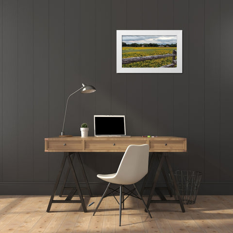 Vivid field of wildflowers in the Lyndon B. Johnson National Historical Park in Johnson City, TX White Modern Wood Framed Art Print by Highmith, Carol