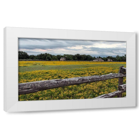 Vivid field of wildflowers in the Lyndon B. Johnson National Historical Park in Johnson City, TX White Modern Wood Framed Art Print by Highmith, Carol
