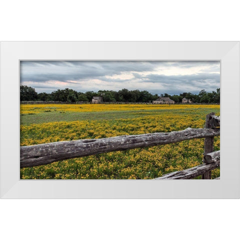 Vivid field of wildflowers in the Lyndon B. Johnson National Historical Park in Johnson City, TX White Modern Wood Framed Art Print by Highmith, Carol