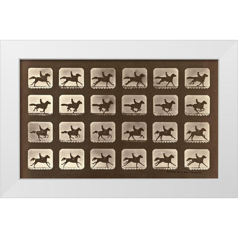 Motion Study: Man Riding A Galloping Horse White Modern Wood Framed Art Print by Muybridge, Eadweard J.