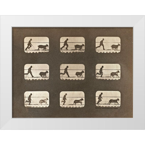Motion Study: Man Chasing A Goat White Modern Wood Framed Art Print by Muybridge, Eadweard J.