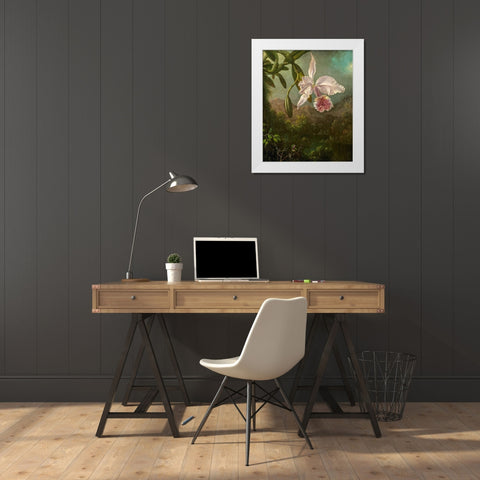 Orchid Blossoms White Modern Wood Framed Art Print by Heade, Martin Johnson