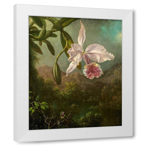 Orchid Blossoms White Modern Wood Framed Art Print by Heade, Martin Johnson