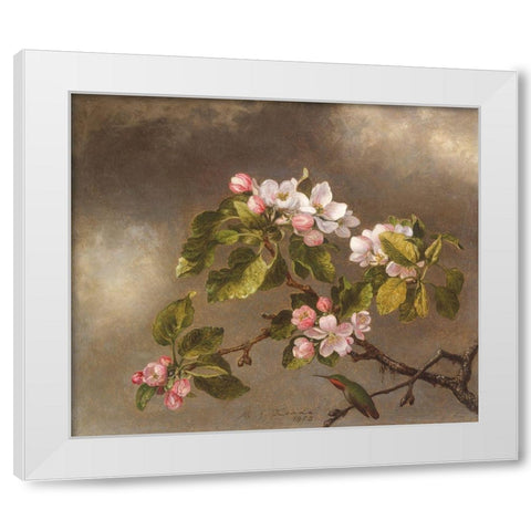 Hummingbird and Apple Blossoms White Modern Wood Framed Art Print by Heade, Martin Johnson