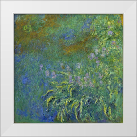 Irises White Modern Wood Framed Art Print by Monet, Claude