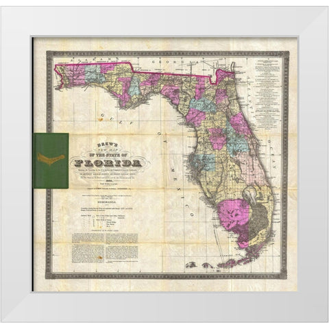 New Map of The State of Florida, 1870 White Modern Wood Framed Art Print by Drew, Columbus