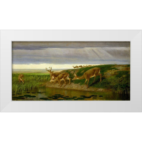 Deer on the Prairie White Modern Wood Framed Art Print by Beard, William Holbrook