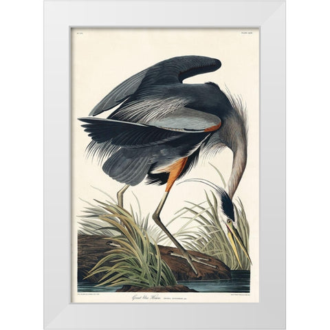 Great blue Heron White Modern Wood Framed Art Print by Audubon, John James