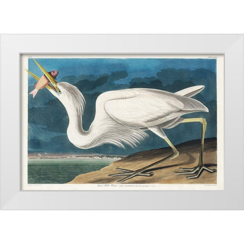 Great White Heron White Modern Wood Framed Art Print by Audubon, John James