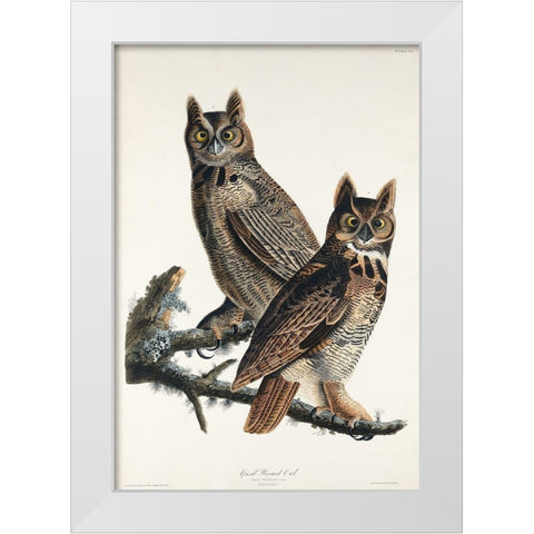 Great Horned Owl White Modern Wood Framed Art Print by Audubon, John James