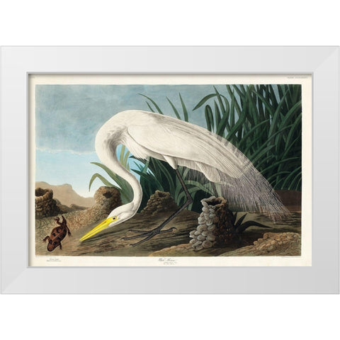 White Heron White Modern Wood Framed Art Print by Audubon, John James