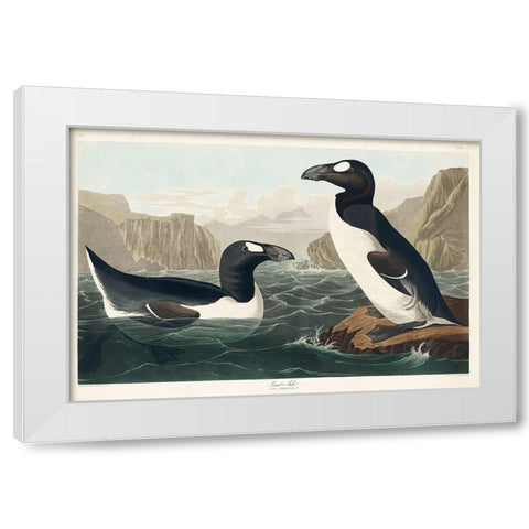 Great Auk White Modern Wood Framed Art Print by Audubon, John James