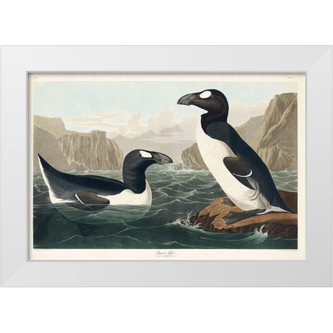 Great Auk White Modern Wood Framed Art Print by Audubon, John James