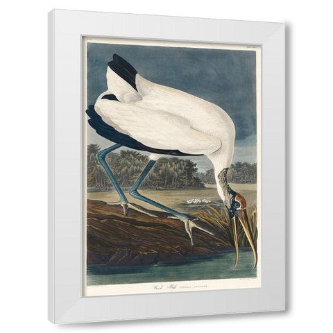Wood Ibis White Modern Wood Framed Art Print by Audubon, John James