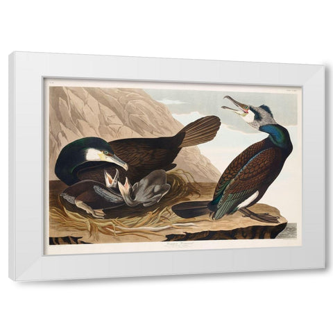 Common Cormorant White Modern Wood Framed Art Print by Audubon, John James