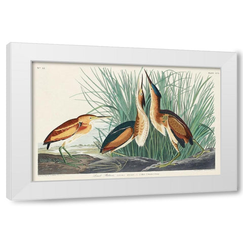 Least Bittern White Modern Wood Framed Art Print by Audubon, John James