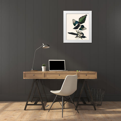 American Magpie White Modern Wood Framed Art Print by Audubon, John James