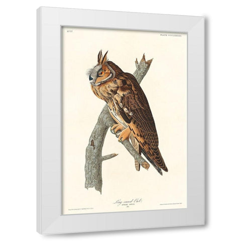Long-eared Owl White Modern Wood Framed Art Print by Audubon, John James