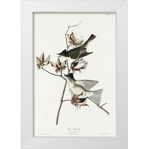 Pewit Flycatcher White Modern Wood Framed Art Print by Audubon, John James
