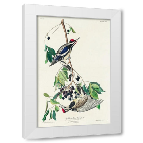 Yellow bellied Woodpecker White Modern Wood Framed Art Print by Audubon, John James