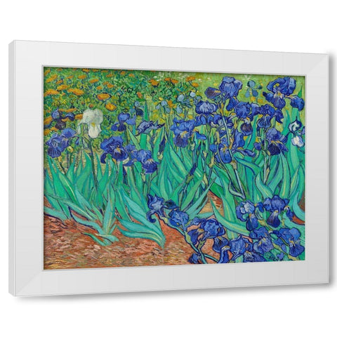 Irises (1889) White Modern Wood Framed Art Print by Van Gogh, Vincent