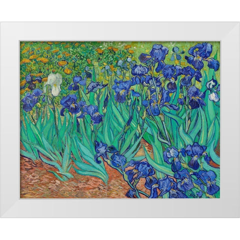 Irises (1889) White Modern Wood Framed Art Print by Van Gogh, Vincent